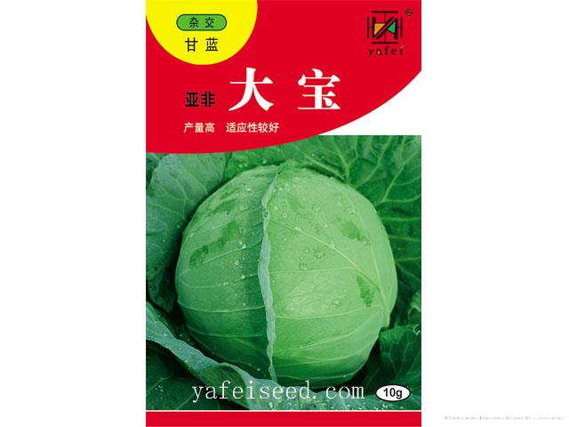 亚非大宝