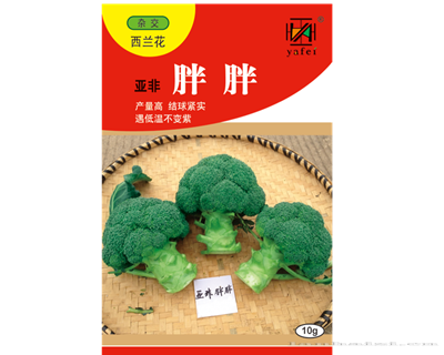 亚非胖胖