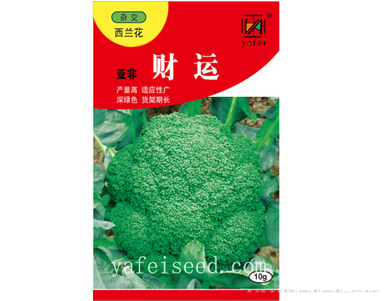 亚非财运
