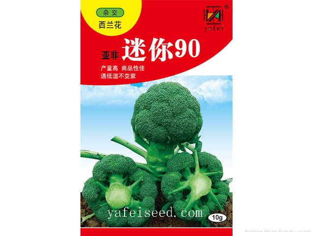亚非迷你90