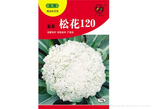 亚非松花120