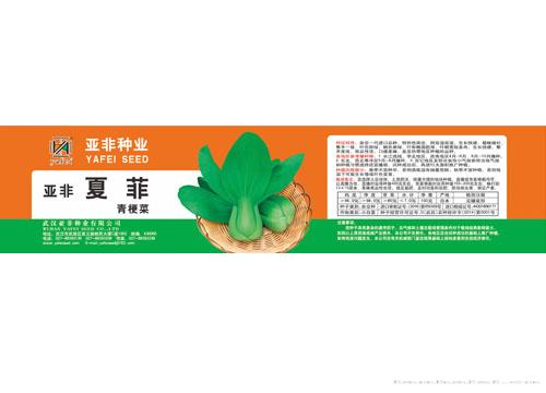 亚非夏菲