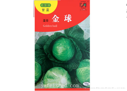 亚非金球