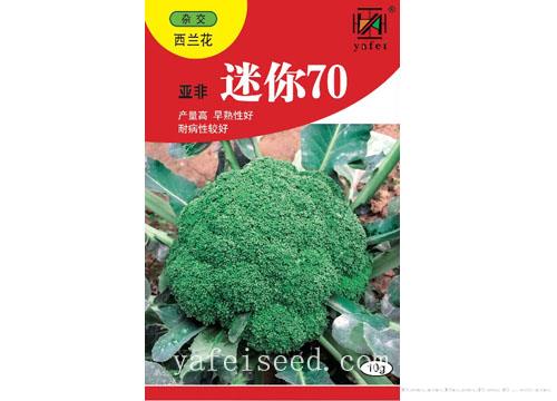 亚非迷你70