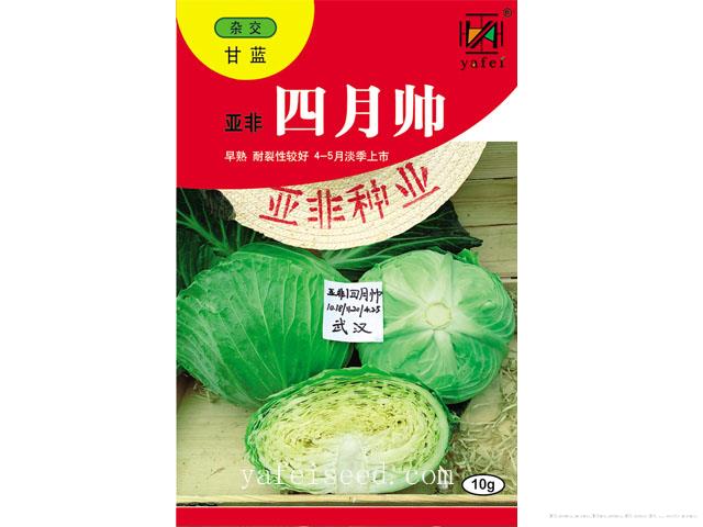 亚非四月帅