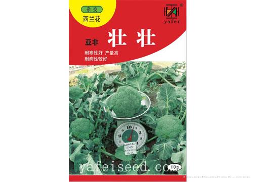 亚非壮壮