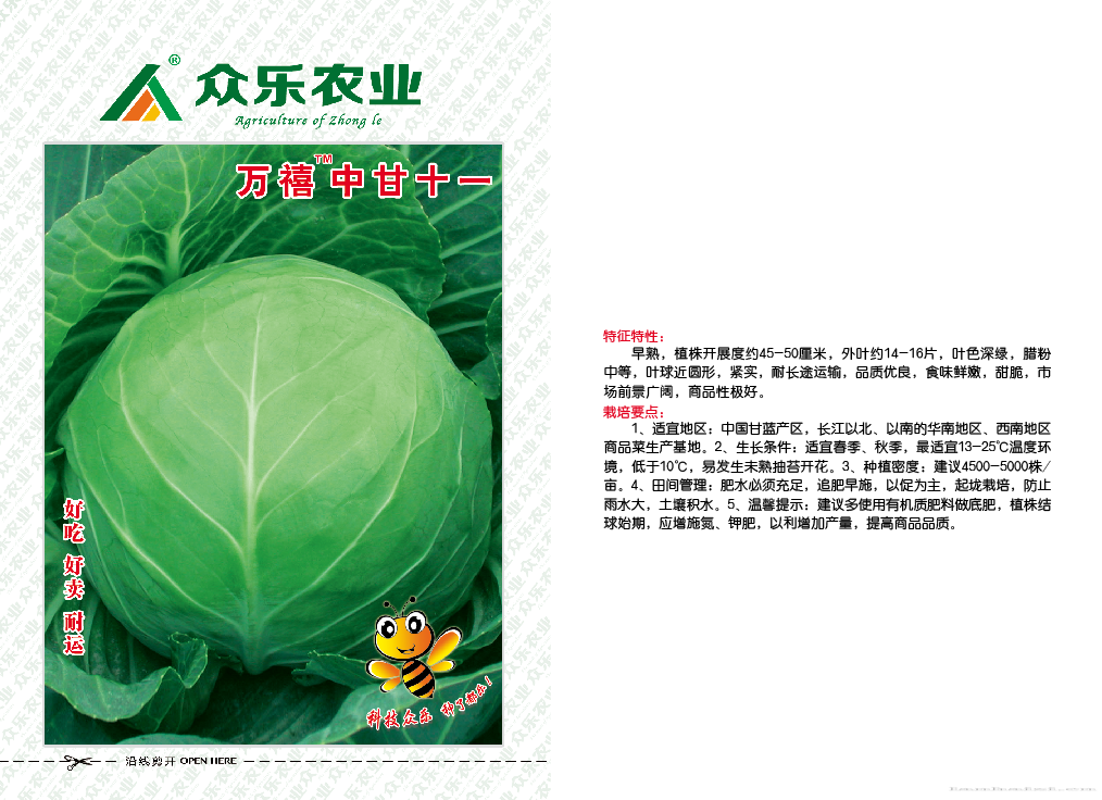 万禧中甘十一