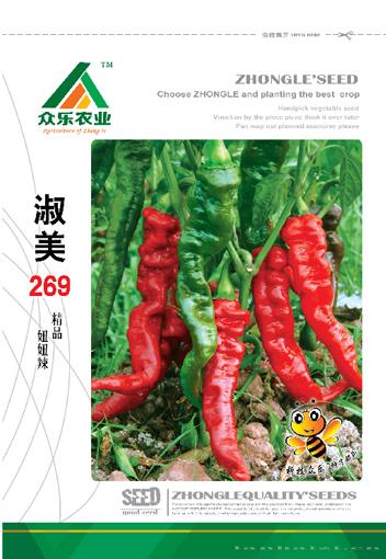 淑美269妞妞辣