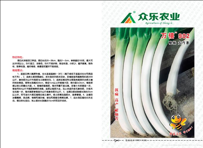 万禧902大葱