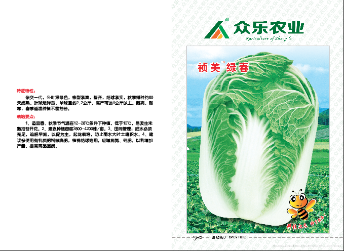 祯美绿春