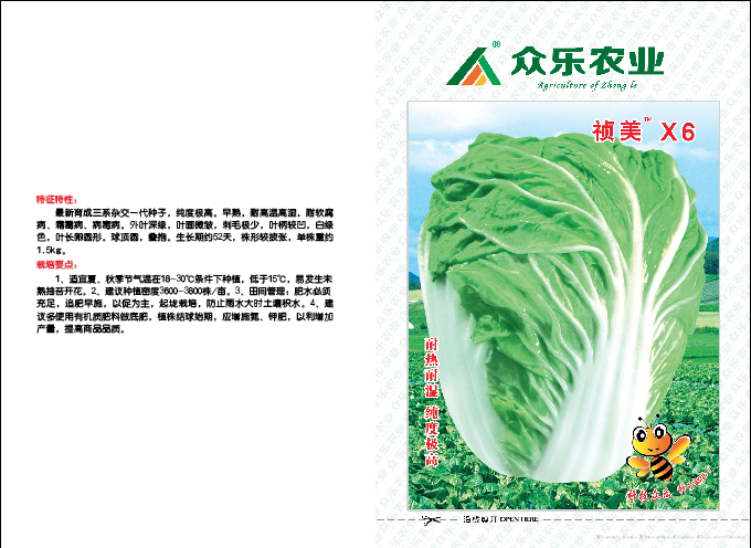 祯美X6