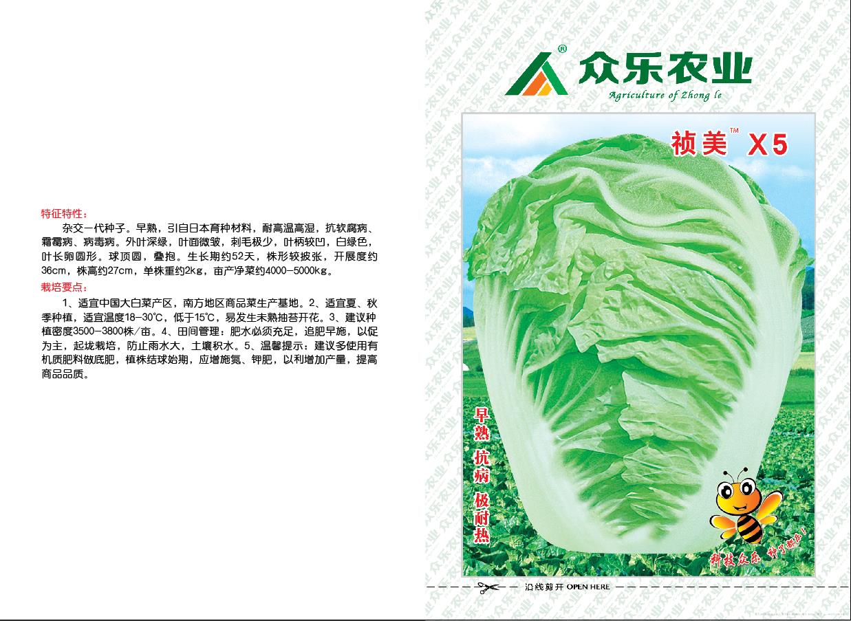 祯美X5