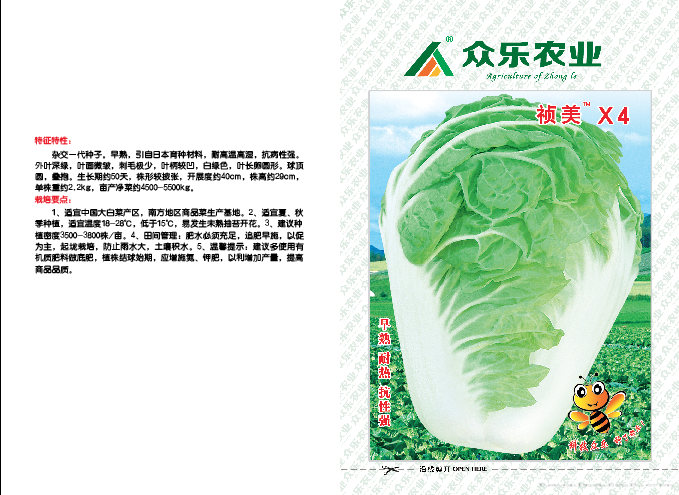 祯美X4