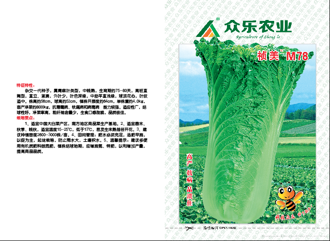 祯美M78