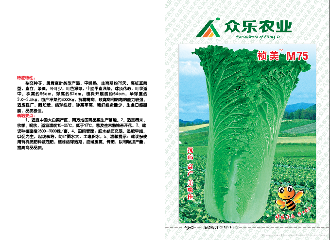 祯美M75