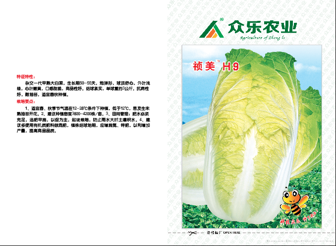 祯美H9