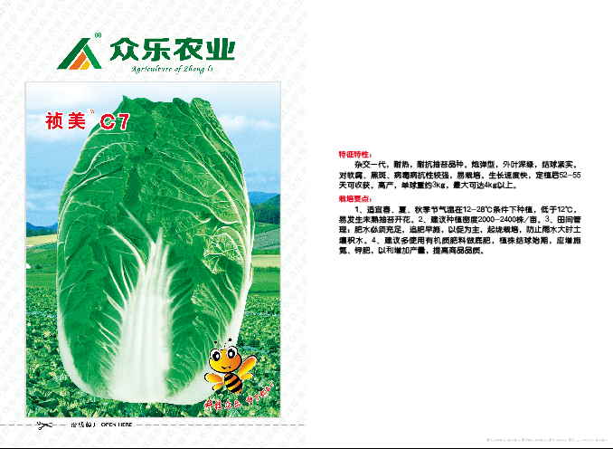 祯美C7