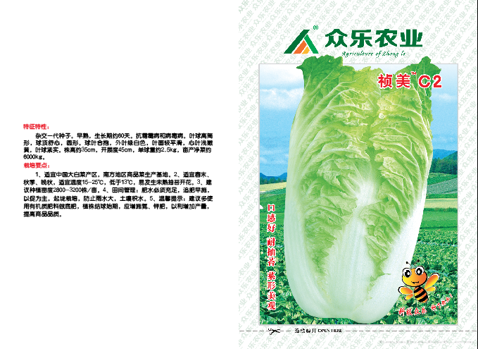 祯美C2
