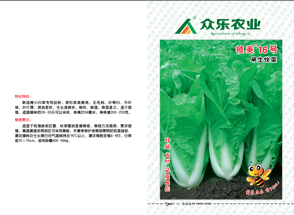 祯美16号早生快菜