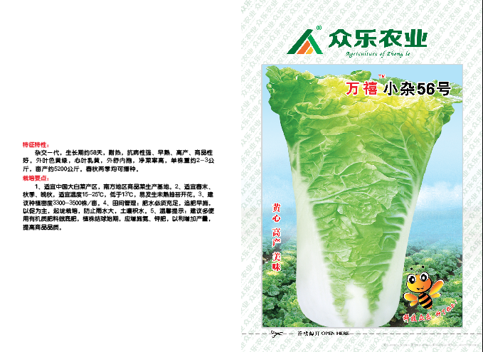 万禧小杂56