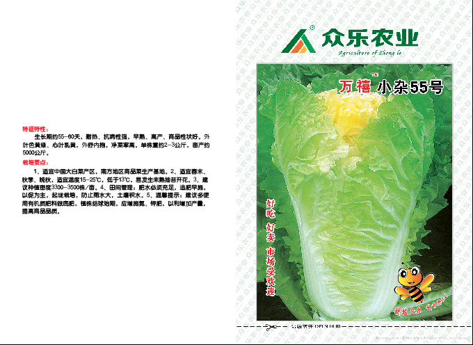万禧小杂55