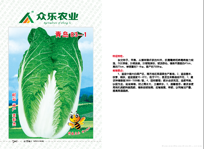 青岛83-1