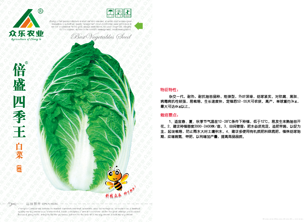 倍盛四季王白菜