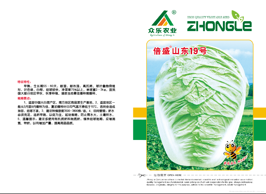 倍盛山东19号