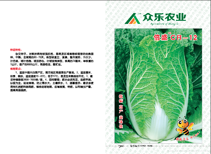 倍盛100奶白菜