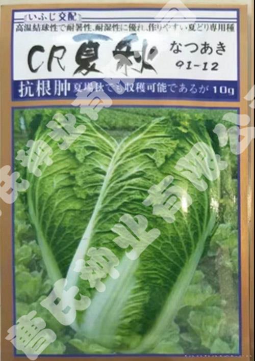 夏秋91-12