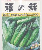 福の稻