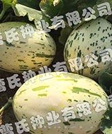 雪豹