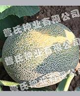 香蜜