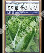夏秋91-12