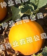 皇冠