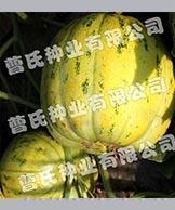 豹点