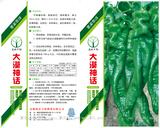 大漠神话