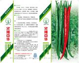 火辣中华