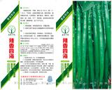 辣香四海