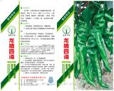 龙腾四海