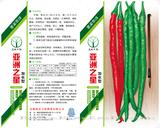 亚洲之星
