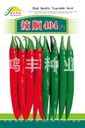 辣顺404——尖椒种子
