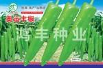 奥运丰椒——尖椒种子