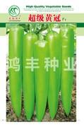 超级黄冠——尖椒种子