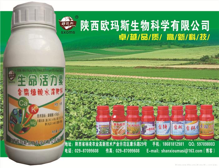 生命活力素喷绘