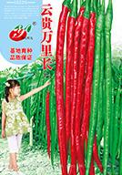   云贵万里长