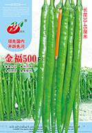   金福500