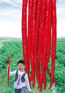   亮剑江湖