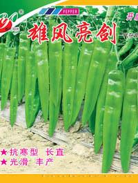   雄风亮剑