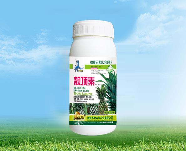 靓顶素